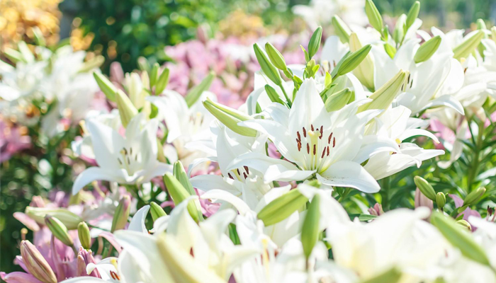千葉市中央区のサロン一覧 千葉女性のための美容協会